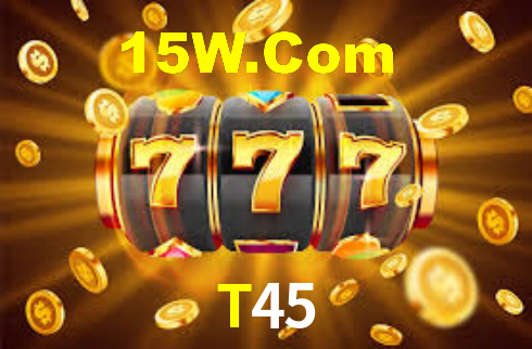 Premium Interface T45